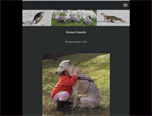 Tablet Screenshot of gazolin.se